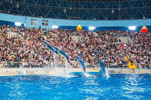 image014.jpg image014.jpg